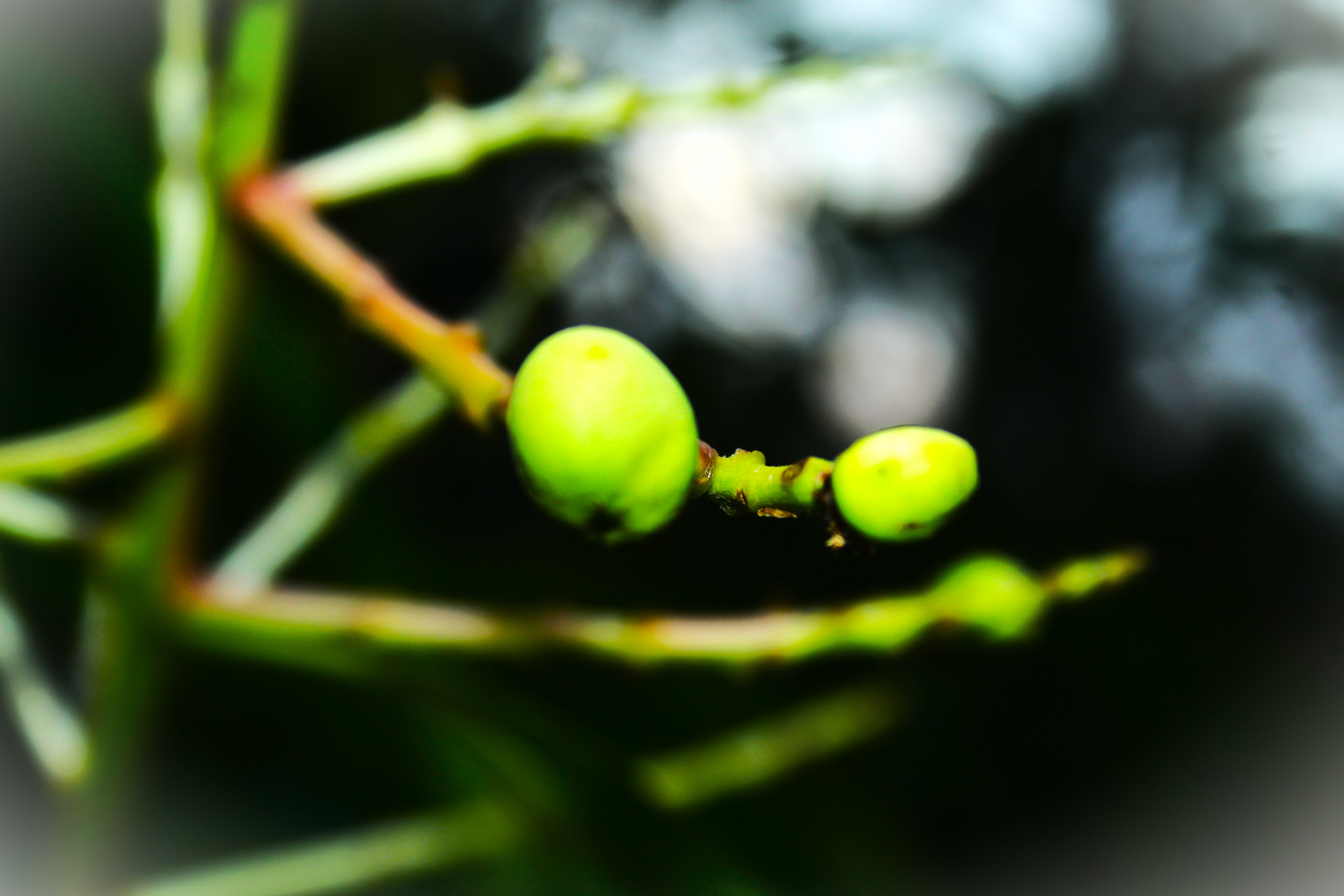 Changeons le monde ensemble